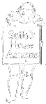 Suffolk House Antiques
